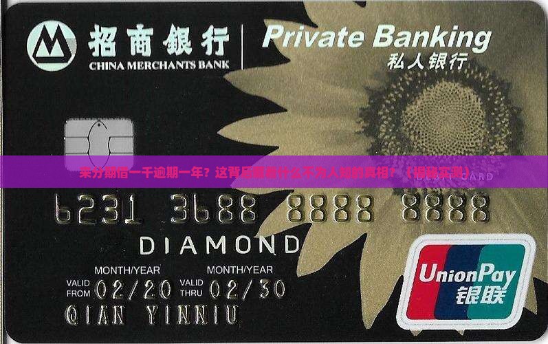 来分期借一千逾期一年