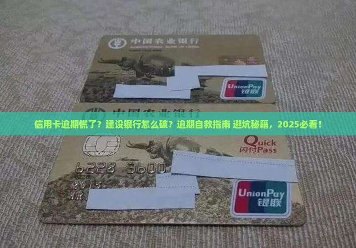 建设银行信用卡逾期怎么办