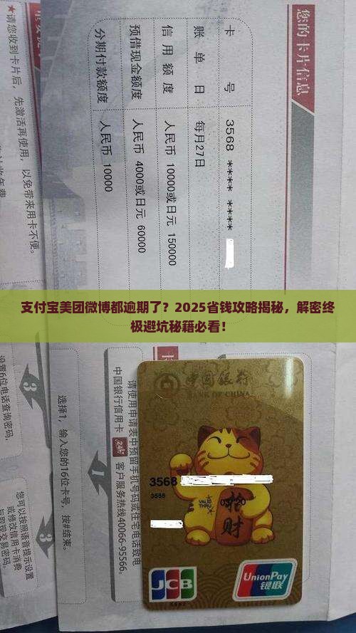 支付宝美团微博都逾期了怎么办