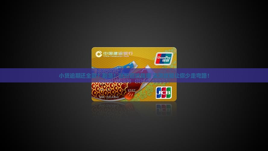 小贷逾期还全款