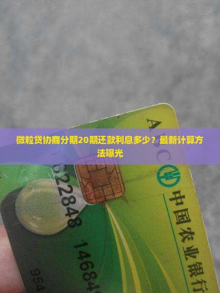 微粒贷协商分期20期还款利息多少