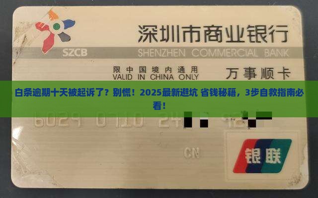 白条逾期十天起诉流程详解