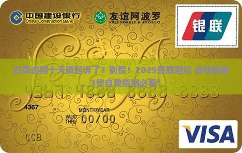 白条逾期十天起诉流程详解