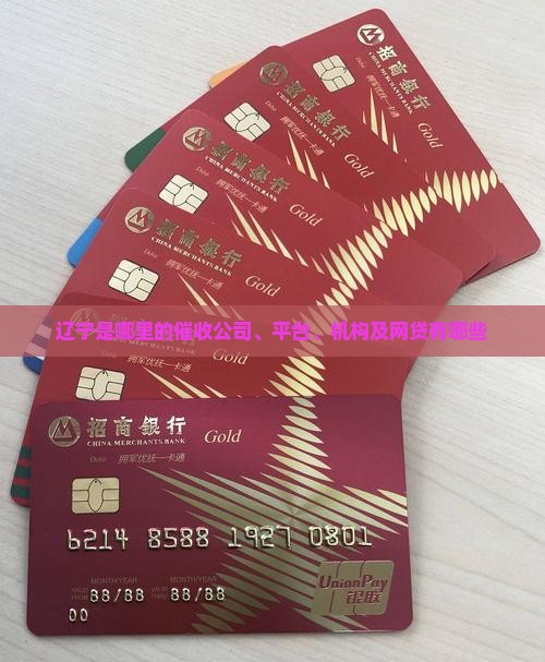 辽宁是哪里的催收