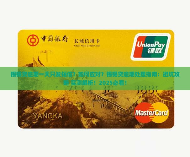 锡锡贷逾期一天只发短信该怎么办