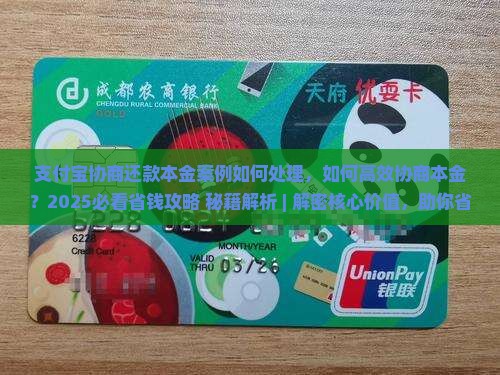 支付宝协商还款本金案例如何处理