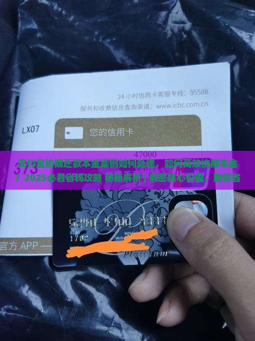 支付宝协商还款本金案例如何处理