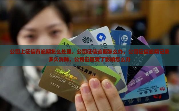 公司上征信有逾期怎么处理