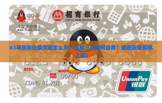01年京东白条欠款怎么办