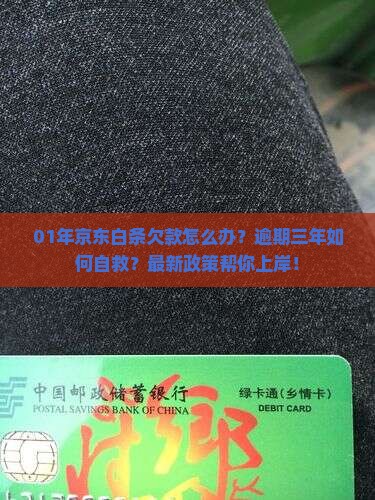 01年京东白条欠款怎么办