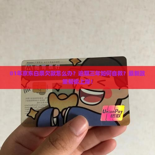 01年京东白条欠款怎么办