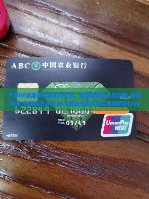 平安i贷逾期备用金如何处理