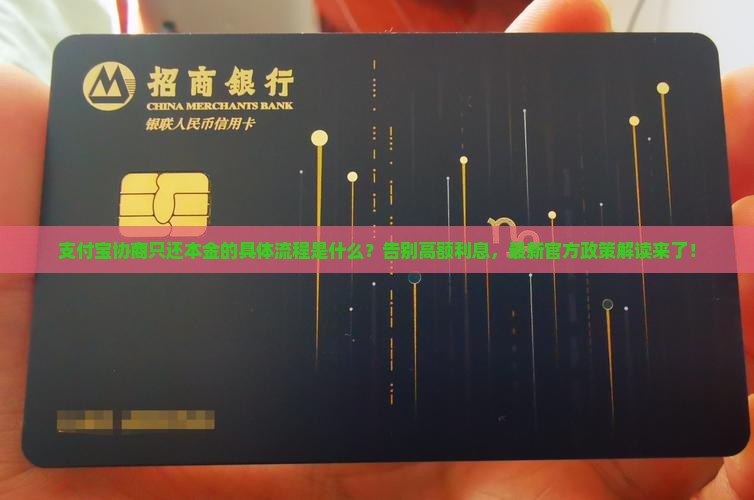 支付宝协商只还本金的具体流程是什么