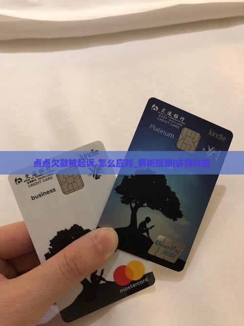 点点欠款被起诉应该怎么应对