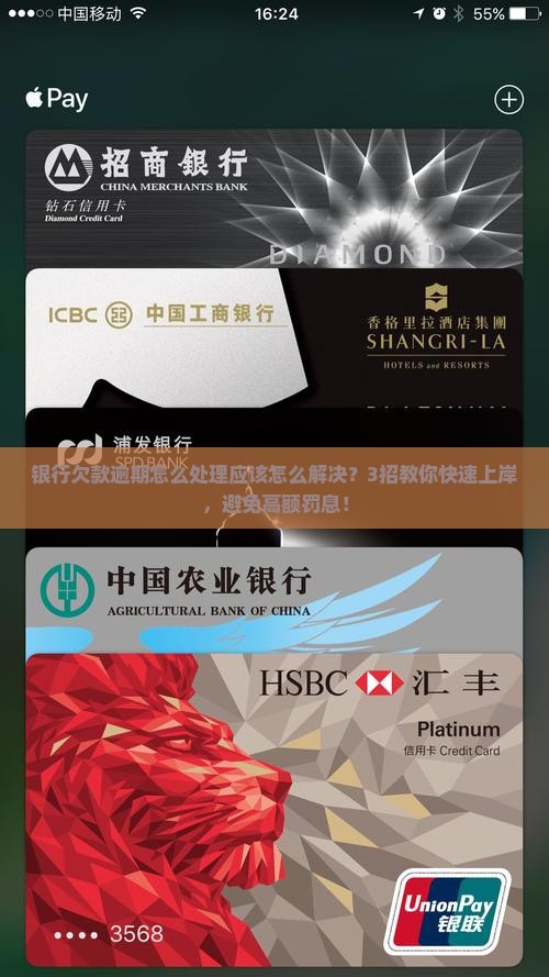 银行欠款逾期怎么处理应该怎么解决