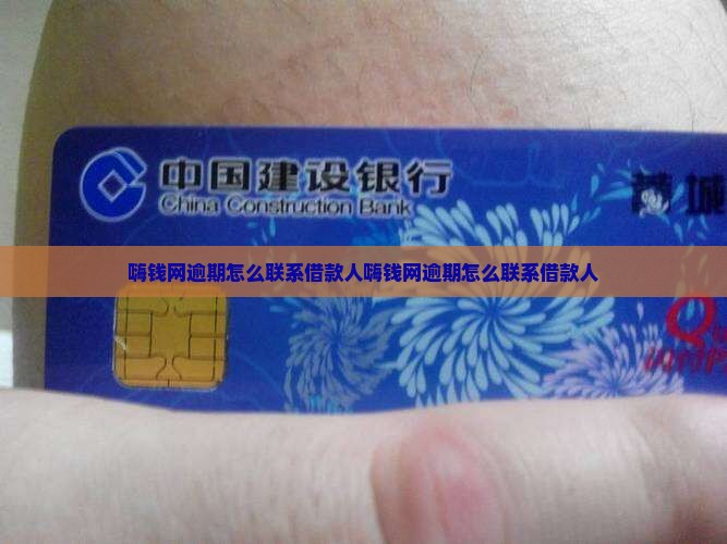 嗨钱网逾期怎么联系借款人 嗨钱网逾期怎么联系借款人