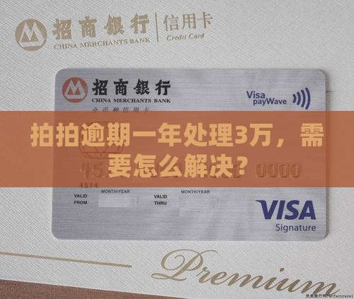 拍拍贷逾期一年还3万需要怎么处理