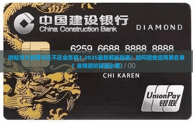 微粒贷欠款两年还不还会怎样