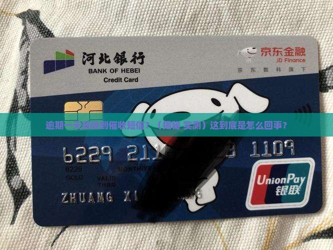 逾期一天就收到催收短信怎么办