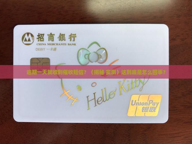 逾期一天就收到催收短信怎么办