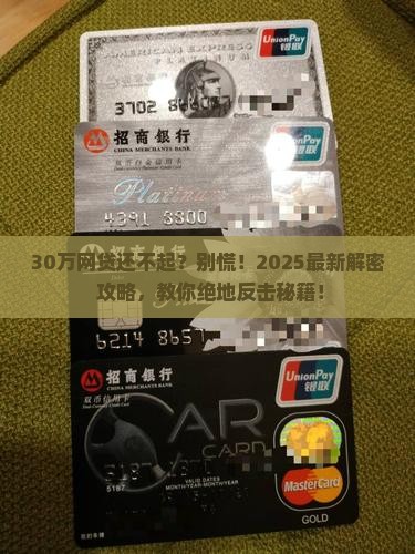 30万网贷无力还款怎么办