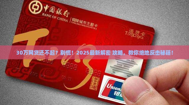 30万网贷无力还款怎么办