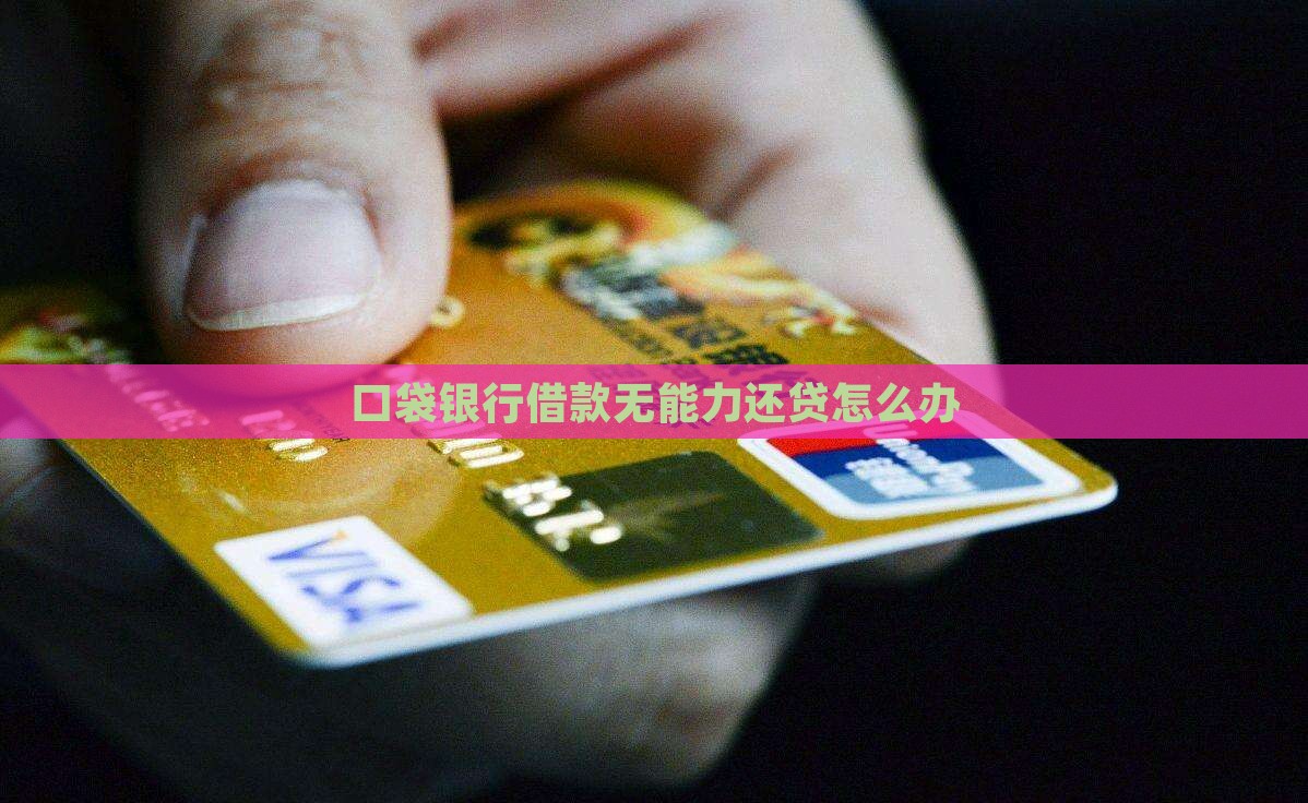 口袋银行借款无能力还贷怎么办
