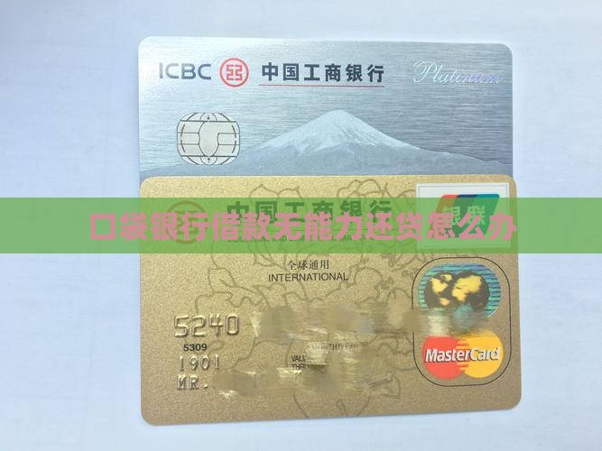 口袋银行借款无能力还贷怎么办
