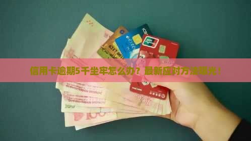 信用卡逾期5千坐牢怎么办
