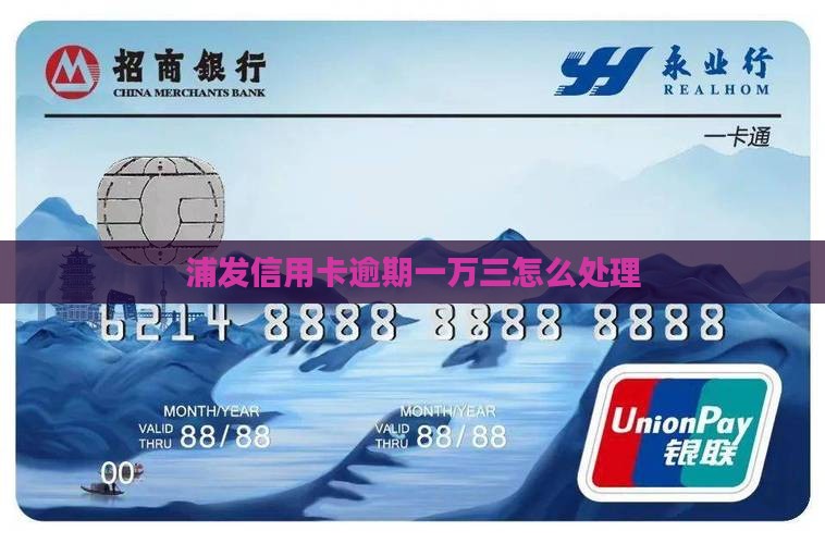 浦发信用卡逾期一万三该如何处理