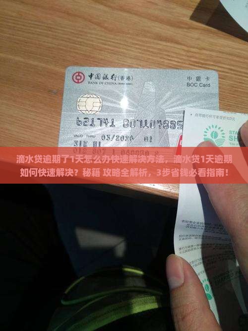 滴水贷逾期了1天怎么办快速解决方法