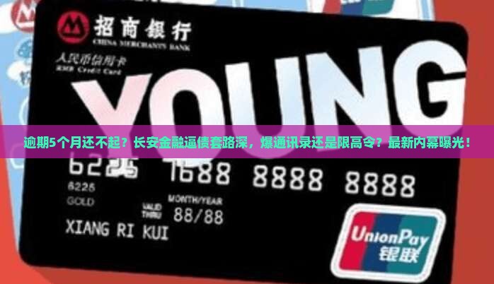 长安金融逾期了5个月会怎样