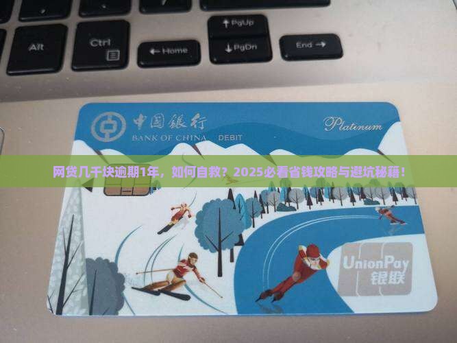 网贷几千块逾期1年