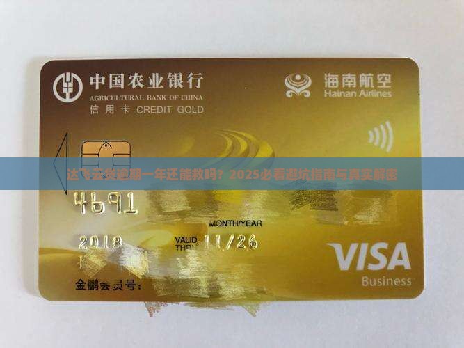 达飞云贷逾期一年如何处理