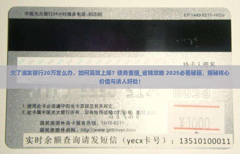 欠了浦发银行20万怎么办