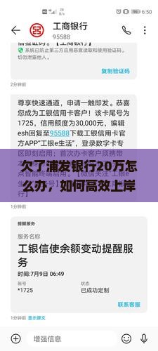 欠了浦发银行20万怎么办