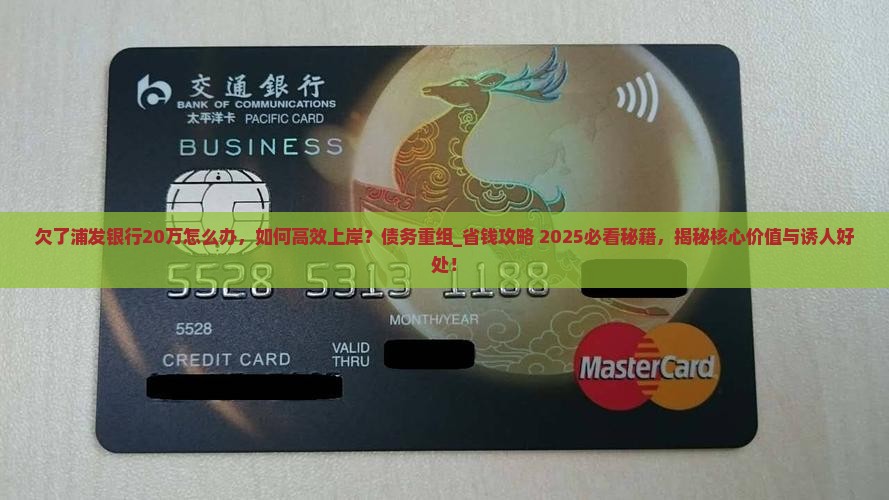 欠了浦发银行20万怎么办