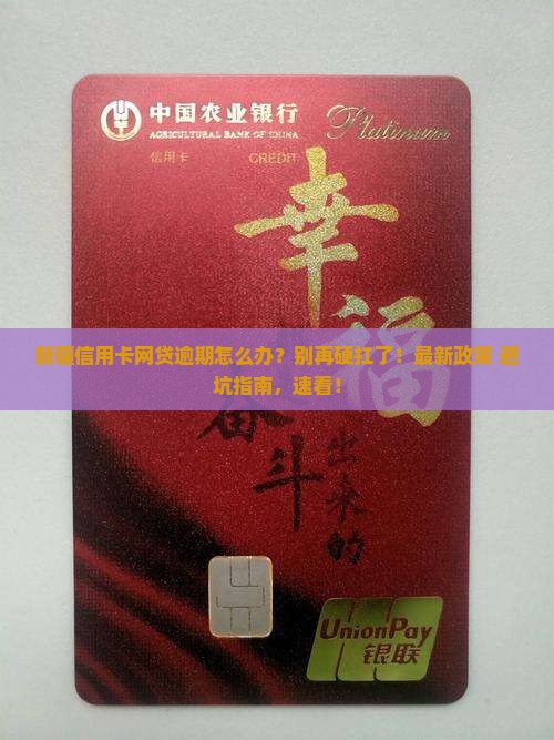 新疆信用卡网贷逾期应该如何处理
