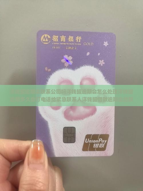 洋钱罐逾期会联系公司吗洋钱罐逾期会怎么处理