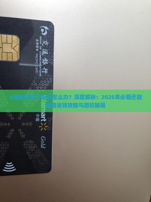 大地时贷还不起款怎么解决