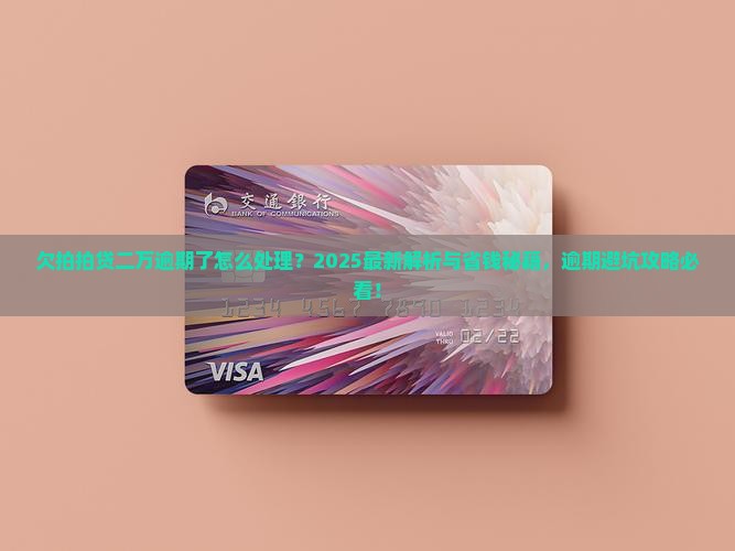 欠拍拍贷二万逾期了怎么处理