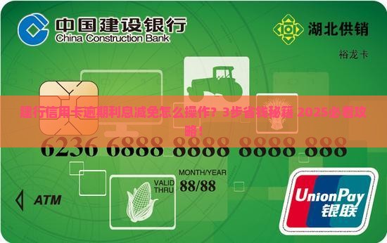 新都建行信用卡逾期协商利息减免怎么办