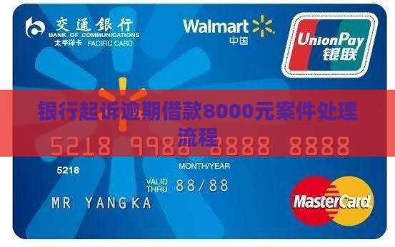 银行起诉逾期借款8000元案件处理流程