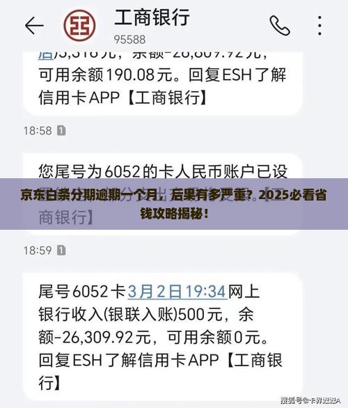 京东白条分期后逾期一个月