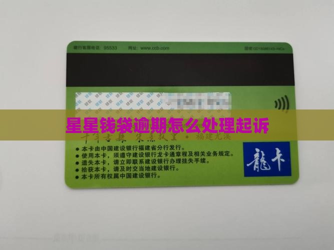 星星钱袋逾期怎么处理说起诉