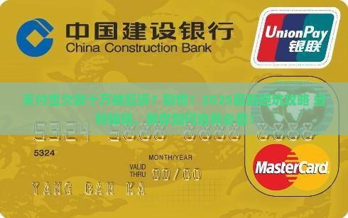 支付宝欠款十万被起诉的问题处理要点及条件