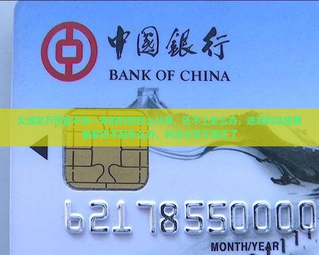 欠浦发万用金不到一年的利息怎么计算