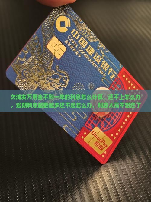 欠浦发万用金不到一年的利息怎么计算