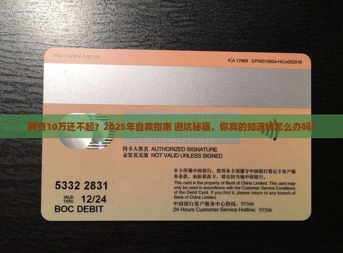 网贷10万元还不起怎么办呢