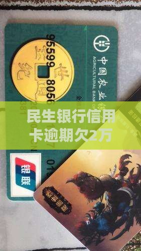 民生银行欠2万多要起诉如何解决